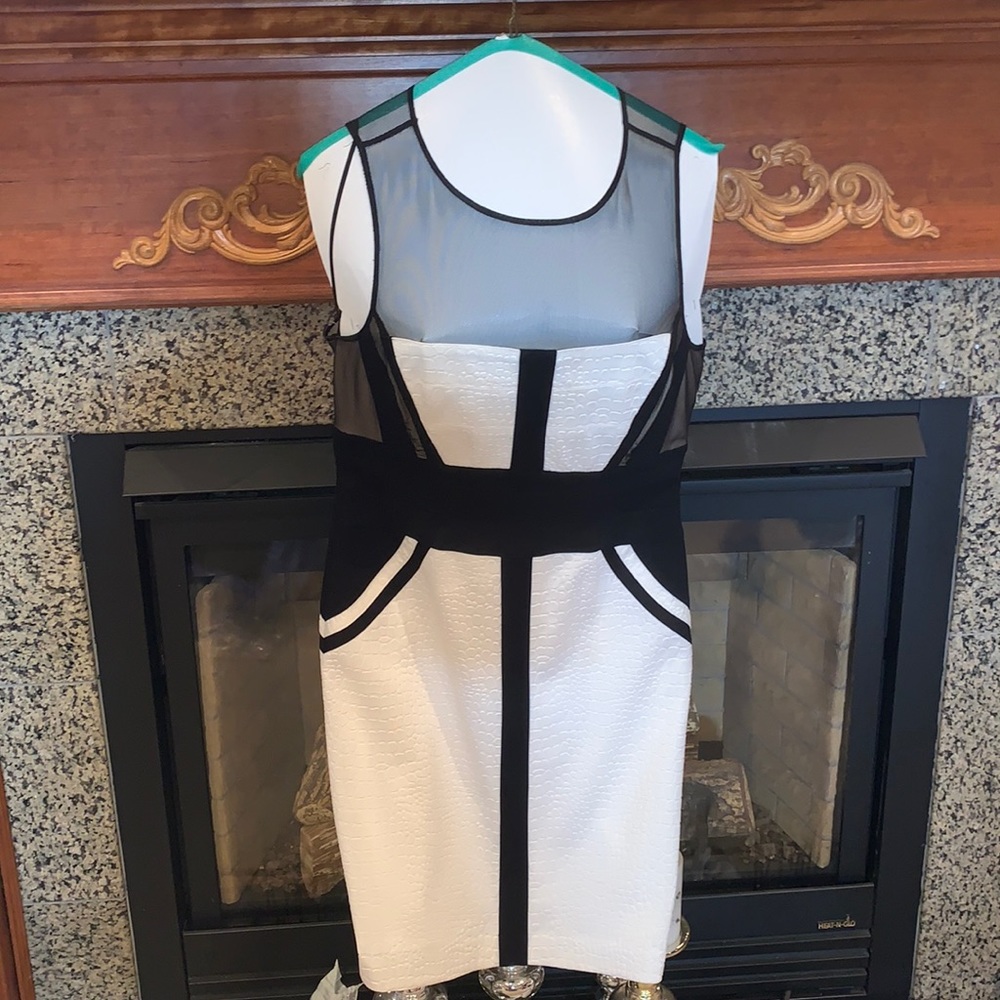 Cache Women’s Sleeveless Ivory Mesh Dress. Excellent Condition. Size 10